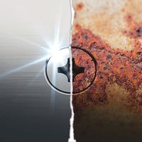 Wera Werk 3669/4 ステンレスナットセッター7X50 071222 1本 695-4410（直送品）