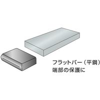 岩田製作所 IWATA 保護キャップ フラットバー用 (10個入) 白 HLWHF6X50-P 1袋(10個) 565-8960（直送品）