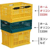 EーCON 折りたたみコンテナー 562060 ホームオリコンS50M イエロー 56206000YE304 1個 634-5776（直送品）