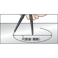 トラスコ中山 TRUSCO 超硬チップ付コンパス 長さ250 円直径380 PTC-250-A 1本 662-8671（直送品）