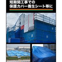 TRUSCO ブルーシート 肩掛けなので運搬時両手が使えるエコ再生シート ブルー #2500 10.0m×10.0m BSA251010-A（直送品）