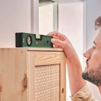 ボッシュ 水平器 250mm 1600A032V5 1本 689-3544（直送品）