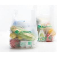 ジャパックス レジ袋バイオ エンボス乳白20号 100P GRE20　1パック（直送品）