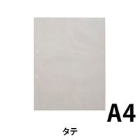 テージー 透明ポケット P-142D 100枚入 P-142D00 1パック（直送品）