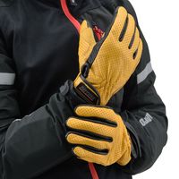 デイトナ HBG-129 パンチングメッシュスタンダードカウレザーグローブ イエロー M 18908 1双（直送品）