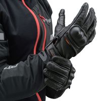 デイトナ HBG-130 パンチングメッシュプロテクターカウレザーグローブ ブラック L 18913 1双（直送品）