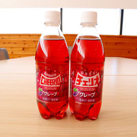 チェリオ グレープ　500ml PET　48本 4902074013435 2箱（48本）（直送品）