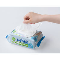 あんしん Ｇｅｎｋｉ! おしりふき 厚手 1パック（100枚入）アイリスオーヤマ
