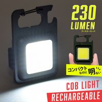 オーム電機 充電式COBライト 230ルーメン LHC23A5 1個