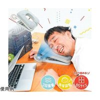 サンコー デスクdeお昼寝まくら PRCUFACGY 1個 67-9274-30（直送品）