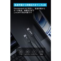 アンカー・ジャパン株式会社 Anker Prime USBーC & ケーブル1.0m A84N0011 1本