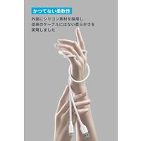 アンカー・ジャパン株式会社 Anker USBーC & USBーA ケーブル (Flow) 1.8m A85G1N22 1本