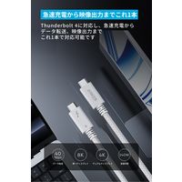 アンカー・ジャパン株式会社 Anker Prime USBーC & ケーブル1.0m A84N0021 1本