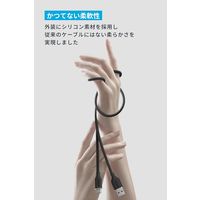 アンカー・ジャパン株式会社 Anker USBーC & USBーA ケーブル (Flow) 1.8m A85G1N12 1本