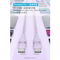 アンカー・ジャパン株式会社 Anker USBーC & ケーブル 1.8m A82E2NV2 1本