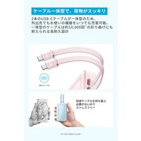 アンカー・ジャパン株式会社 Anker Zolo Power Bank (10000mAh， 35W) A1680N52 1個
