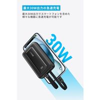 アンカー・ジャパン株式会社 Anker Zolo Power Bank (10000mAh， 30W) A1680N21 1個
