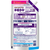 ナノックス ワン（NANOX one）ニオイ専用 詰め替え 特大 765g 1個 洗濯 洗剤 ライオン