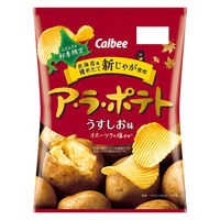 ポテトチップス スナック菓子 ア・ラ・ポテト うすしお味　64g 1セット（1個×12）