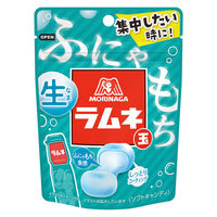 ラムネ 食べきりサイズ 生ラムネ玉　32g 1セット（1個×10）