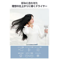 理美容器具 ハンドドライヤー マイナスイオン ディフューザー付 ベージュTD863A-C テスコム 1個（直送品）