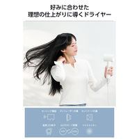 理美容器具 ハンドドライヤー マイナスイオン ディフューザー付 ホワイトTD863A-W テスコム 1個（直送品）