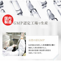 株式会社ビセラ研究所 エヌエムエヌ・アスリート ホワイトビューティープラス サプリメント 4580005041483 1個(120粒)（直送品）