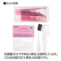 花王 ブローネクリームヘアカラー5栗色 1個（直送品）