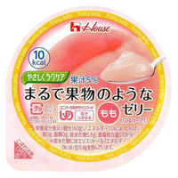 ハウスギャバン まるで果物のようなゼリーアソート12個 87678 1箱（直送品）