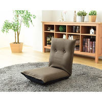 ティアンドエヌ 低反発折りたたみ座椅子 25-6369-943 1箱（直送品）