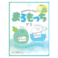 グミ 食べきりサイズ まろもっち 青りんご＆ヨーグルト 50g 1セット（1個×12）
