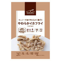 おつまみ みんなのおやつ　やわらかイカフライ 1セット（1個×24）