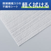 コクヨ 微細繊維で軽く拭けるガラス・液晶用ドライシート Lサイズ 50枚入 ヒビフル KHF-CG133 1セット(1箱(50枚)×5)