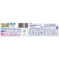 デントヘルス 薬用ハミガキDXプレミアム 歯槽膿漏・歯周病 歯磨き粉 90g 1本 医薬部外品 ライオン