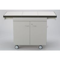 島津理化 移動式理科実験用ワゴン 扉付き 標準タイプ 142-080 1台 67-7098-79（直送品）