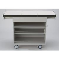 島津理化 移動式理科実験用ワゴン 扉なし 標準タイプ 142-082 1台 67-7098-81（直送品）