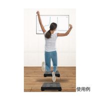 島津理化 ワイヤレス力プラットフォーム PSー3229 101-434 1式 68-0711-55（直送品）