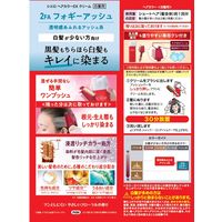 CIELO（シエロ） ヘアカラーＥＸクリーム 2FA フォギーアッシュ ホーユー