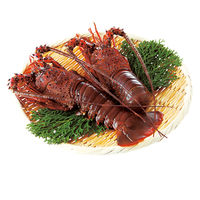 キングマカデミアンJAPAN 天然伊勢海老 活〆生冷凍 IE91102 1個（直送品）