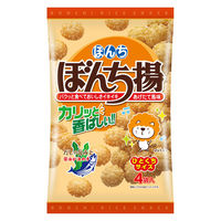 せんべい 小袋 食べきりサイズ ぼんち揚 80g　4パック入 1セット（1個×12）