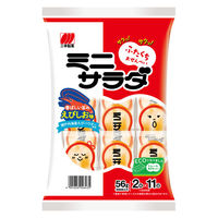 せんべい 煎餅 ミニサラダえびしお味 56g 1セット（1個×12）