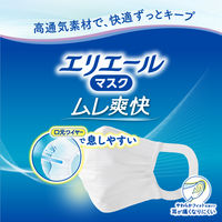 大王製紙 エリエールマスク ムレ爽快 小さめサイズ 21001695 1箱（30枚入）