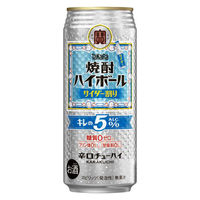 ハイボール 焼酎ハイボール 5％ 特製サイダー割り 缶 500ml 6本