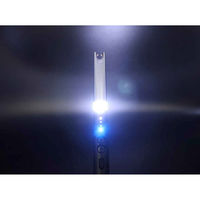 マルエス 電子ライター USB充電式 プラズマアークライター ライト付き USBケーブル付き 450590 1個（直送品）