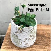 アビテ 植木鉢 モスティーク エッグポット M 直径14cm フラワーポット 459950 1個（直送品）