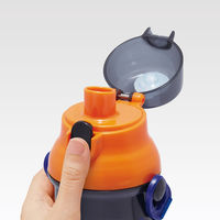 スケーター 水筒 480ml 抗菌直飲プラボトル ドラゴンボールダイマ 475850 1個（直送品）