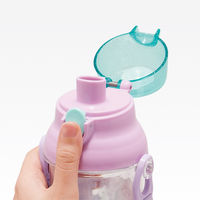 スケーター 水筒 480ml 食洗機対応プラクリアボトル アナと雪の女王25 475854 1個（直送品）
