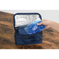 逸品社 保冷ランチバック・保冷剤 メンズデイリー ネイビー 480298 1個（直送品）