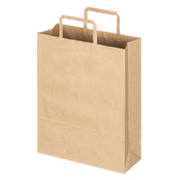 平紐クラフト紙手提袋ベーシック薄型エコノミー260×340×100mm　茶　1袋（10枚入） オリジナル