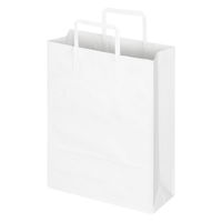 平紐クラフト紙手提袋ベーシック薄型エコノミー260×340×100mm　白 　1セット（1袋（10枚入）×18） オリジナル